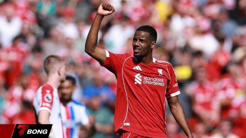 Mùa giải đầu tiên đầy sóng gió tại Liverpool